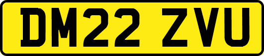DM22ZVU