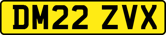 DM22ZVX