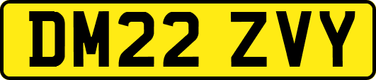 DM22ZVY