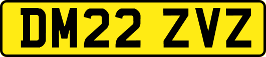 DM22ZVZ