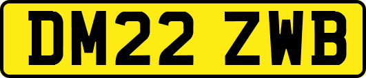 DM22ZWB