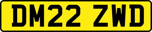 DM22ZWD