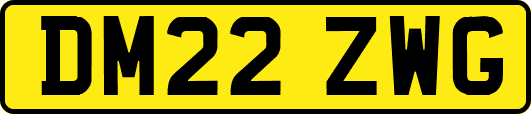 DM22ZWG