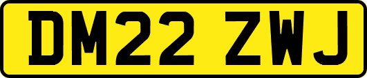 DM22ZWJ