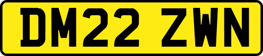 DM22ZWN