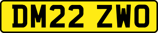 DM22ZWO