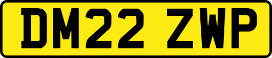 DM22ZWP