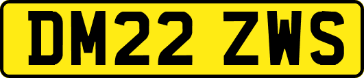 DM22ZWS