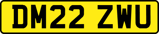 DM22ZWU
