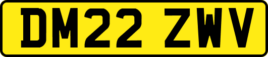 DM22ZWV