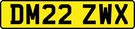 DM22ZWX
