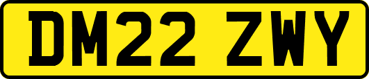 DM22ZWY