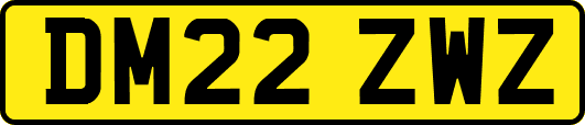 DM22ZWZ