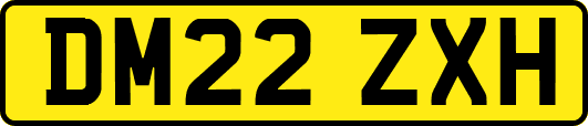 DM22ZXH