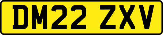 DM22ZXV