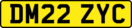 DM22ZYC
