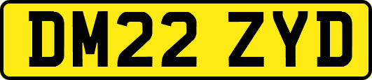 DM22ZYD