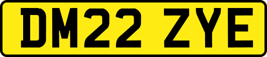 DM22ZYE
