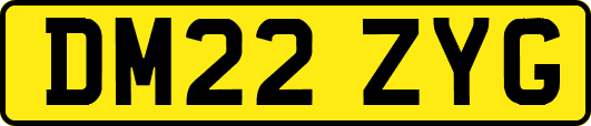 DM22ZYG