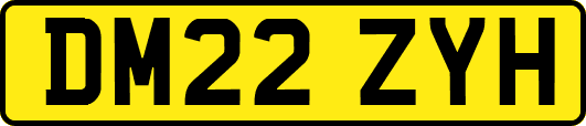 DM22ZYH