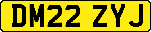 DM22ZYJ
