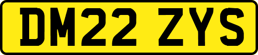 DM22ZYS