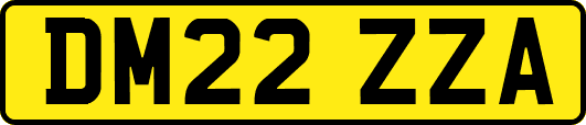 DM22ZZA