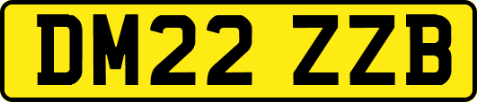 DM22ZZB