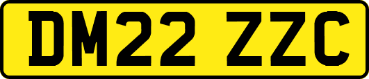 DM22ZZC