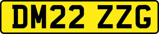 DM22ZZG