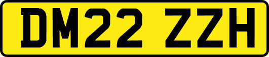 DM22ZZH