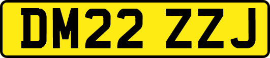DM22ZZJ