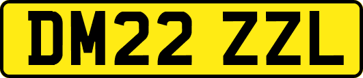 DM22ZZL