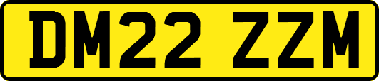 DM22ZZM
