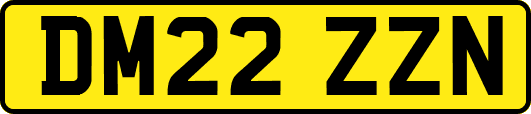DM22ZZN