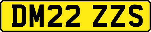 DM22ZZS