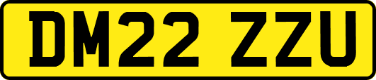 DM22ZZU