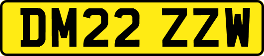 DM22ZZW