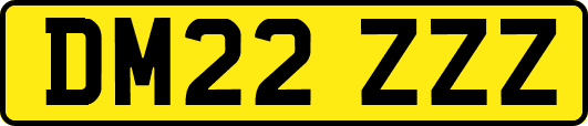 DM22ZZZ