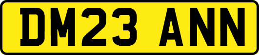 DM23ANN