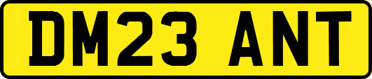 DM23ANT