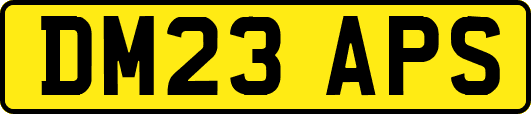DM23APS