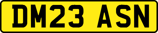 DM23ASN