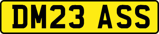 DM23ASS