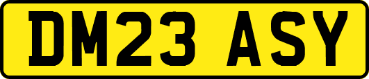 DM23ASY