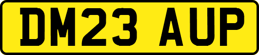 DM23AUP