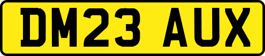 DM23AUX