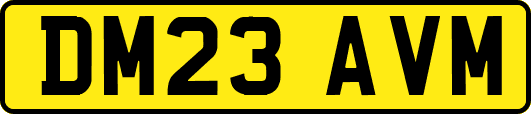 DM23AVM