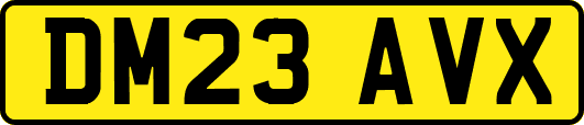 DM23AVX