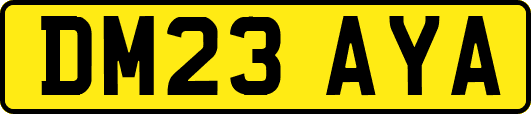 DM23AYA